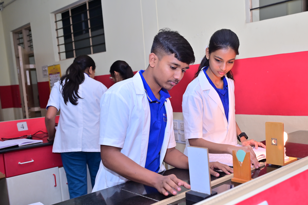 Labs & Practical