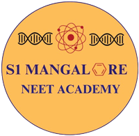 S1MNA Logo